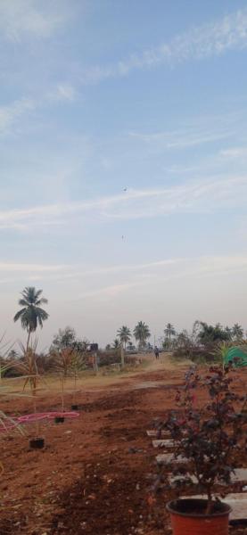 Hampi Nest
